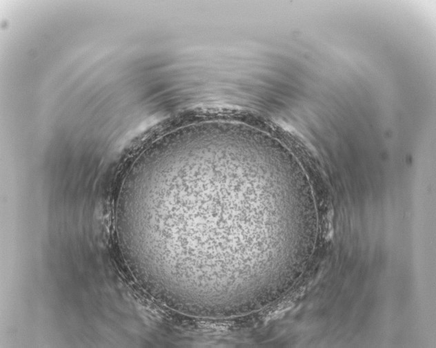 X0000088430870200705291522