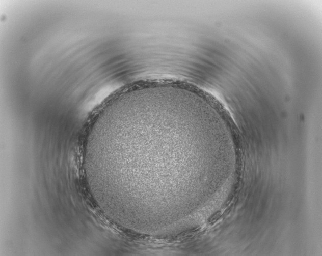 X0000088430871200705291522