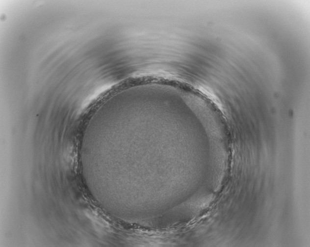 X0000088430872200705291522