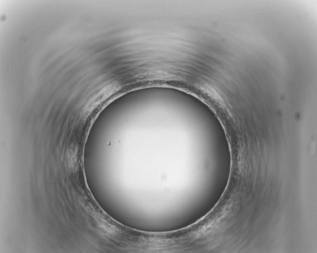 X0000088430873200705291522