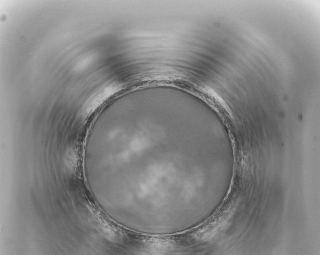 X0000088430874200705291522