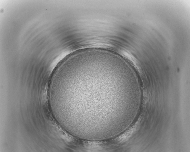 X0000088430875200705291522