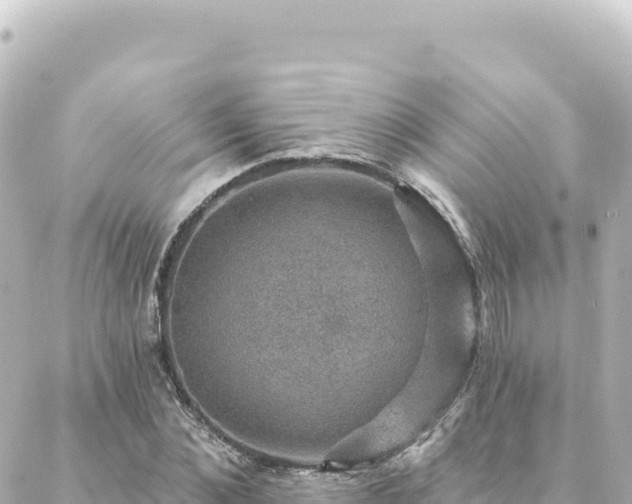 X0000088430876200705291522