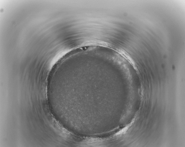 X0000088430877200705291522