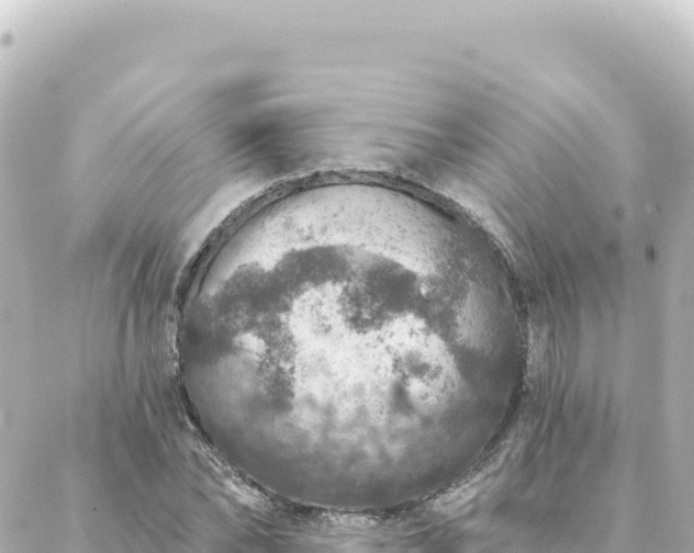 X0000088430878200705291522