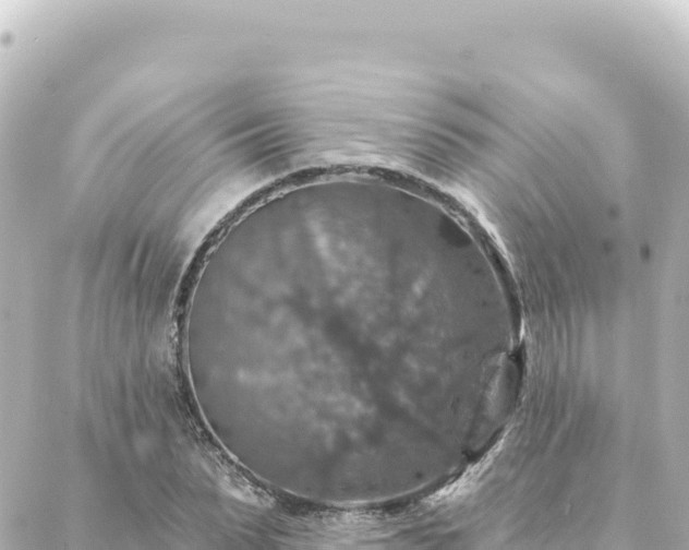 X0000088430879200705291522