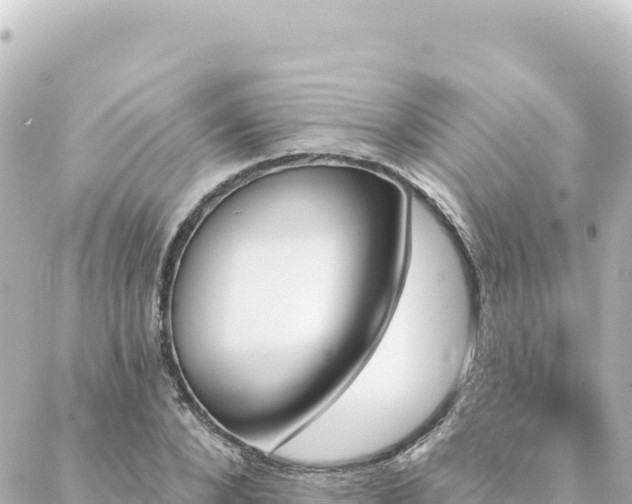 X0000088430880200705291522