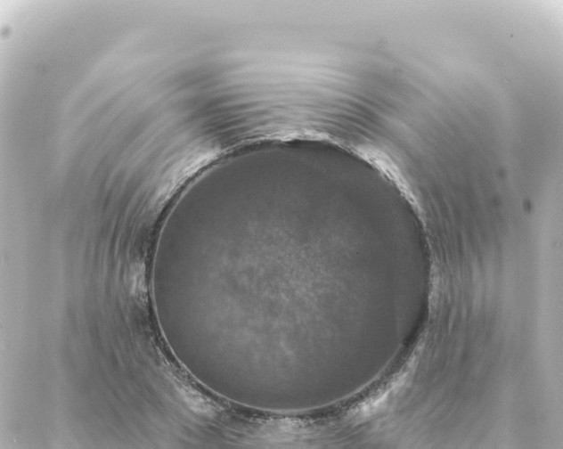 X0000088430881200705291522