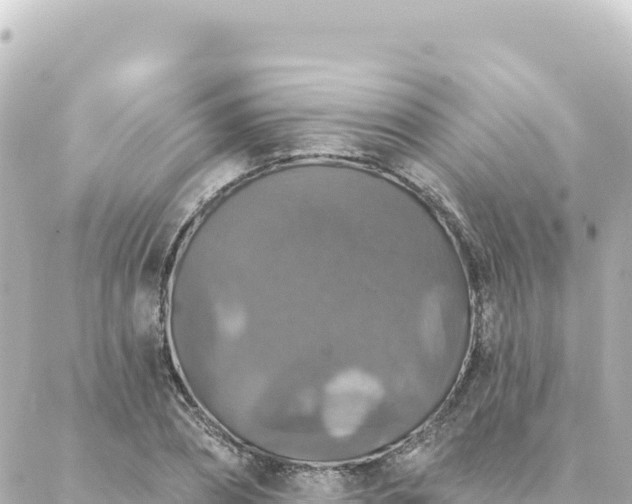 X0000088430882200705291522