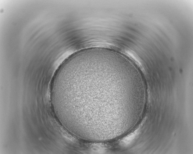 X0000088430883200705291522