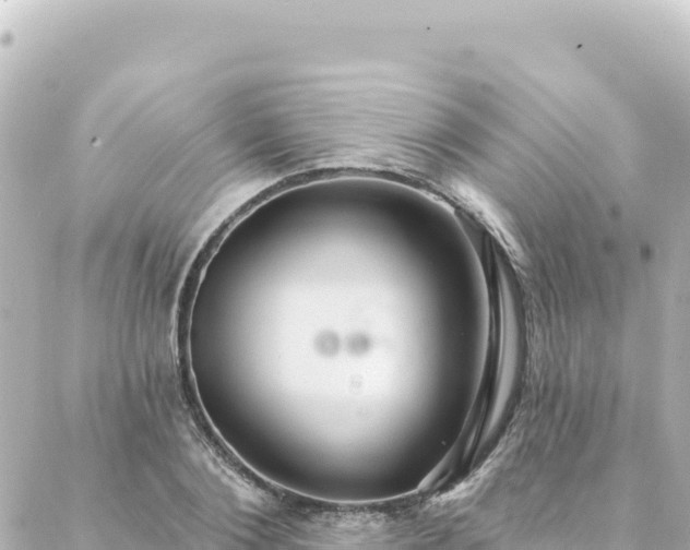 X0000088430884200705291522