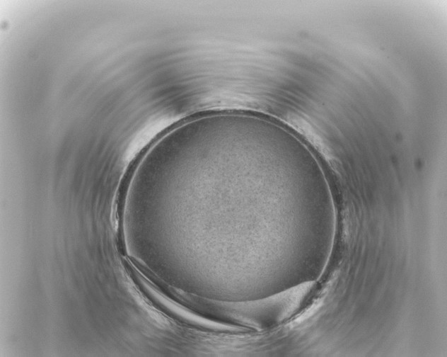 X0000088430885200705291522