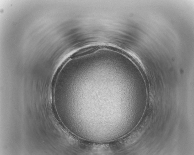 X0000088430887200705291522