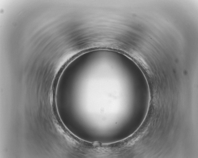 X0000088430888200705291522