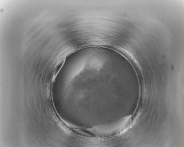 X0000088430889200705291522