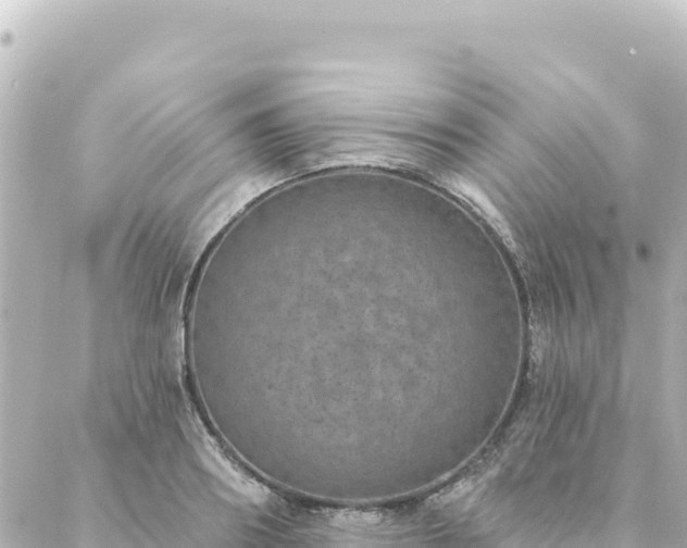 X0000088430890200705291522