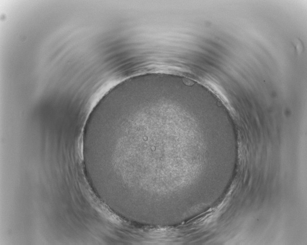 X0000088430891200705291522