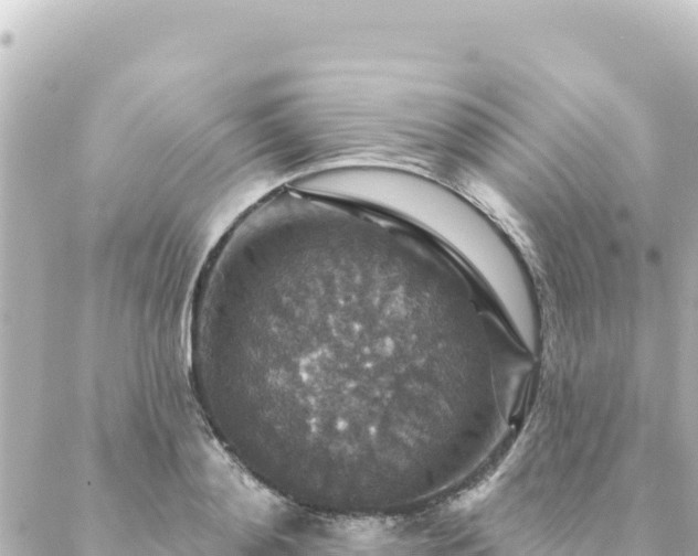 X0000088430892200705291522