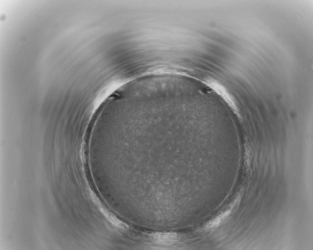 X0000088430893200705291522