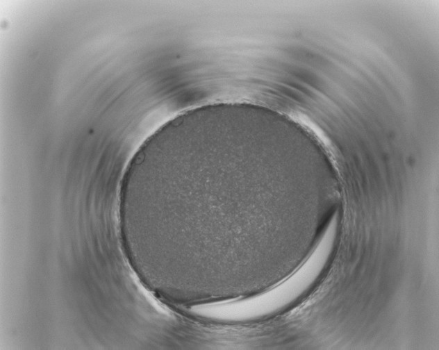 X0000088430894200705291522