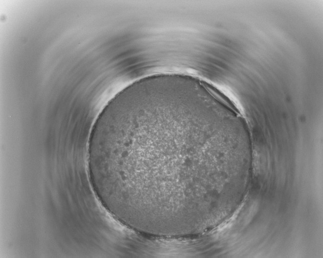 X0000088430895200705291522