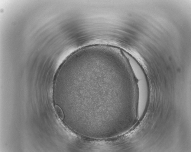 X0000088430896200705291522