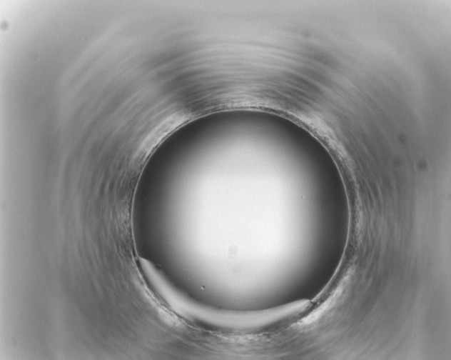 X0000088430897200705291522