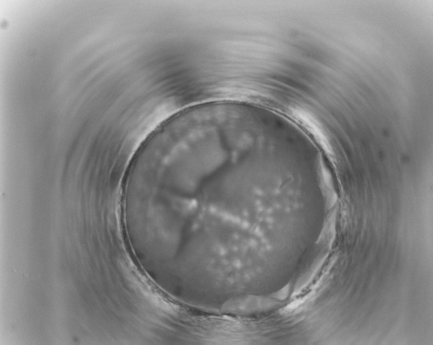 X0000088430899200705291522