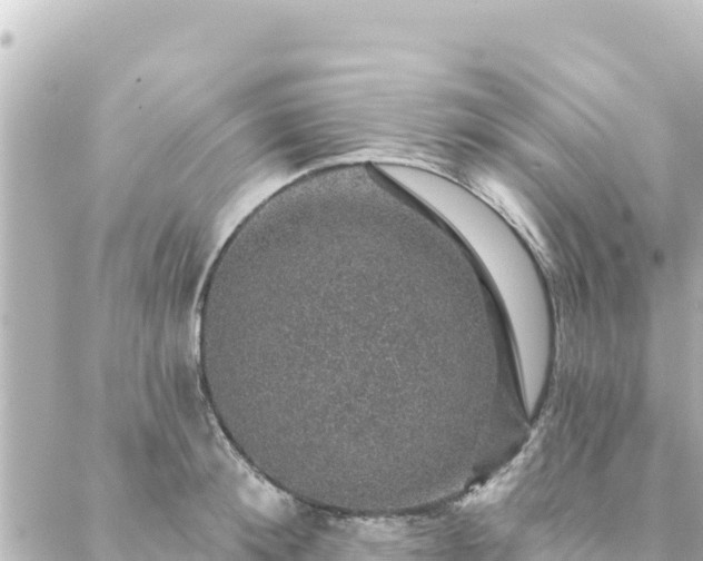 X0000088430900200705291522