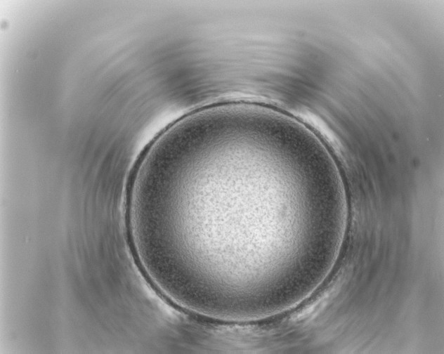 X0000088430902200705291522