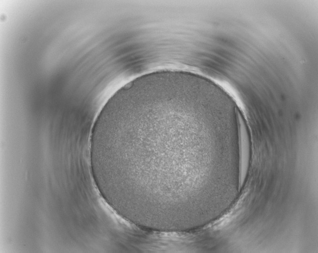 X0000088430903200705291522