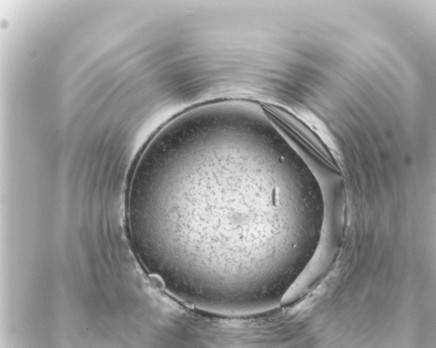 X0000088430904200705291522