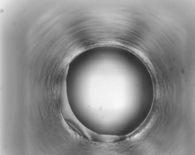 X0000088430905200705291522