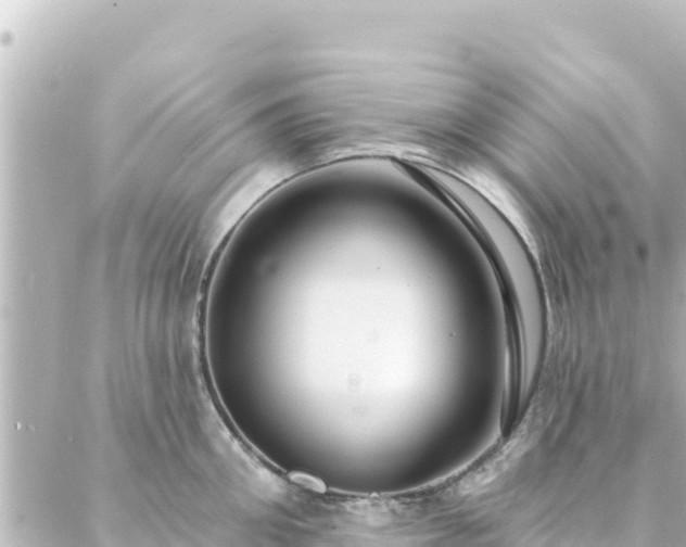 X0000088430906200705291522