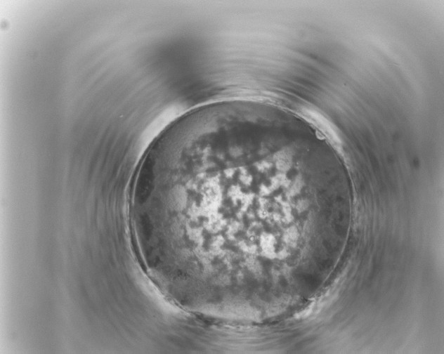 X0000088430907200705291522