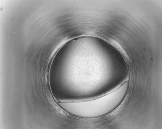 X0000088430908200705291522