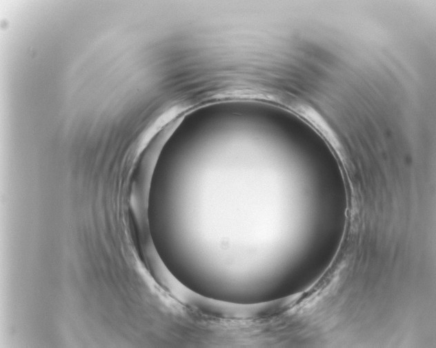 X0000088430909200705291522