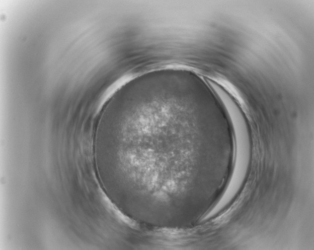 X0000088430910200705291522