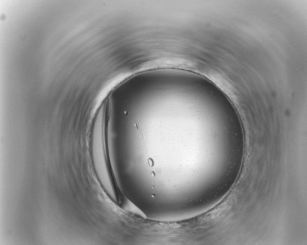 X0000088430912200705291522