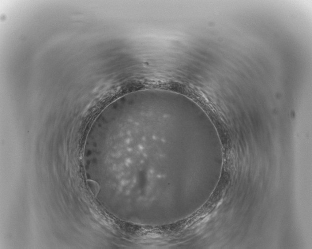 X0000088430913200705291521