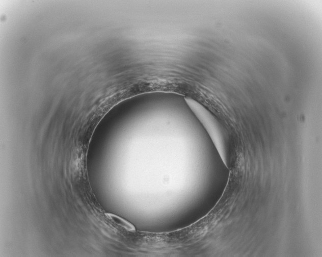 X0000088430914200705291521