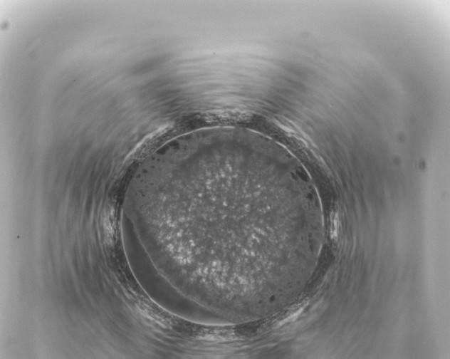 X0000088430915200705291521