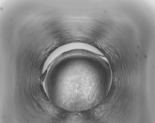 X0000088430916200705291521