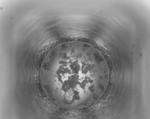 X0000088430917200705291521