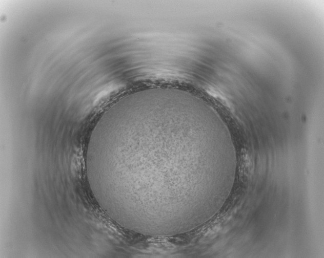 X0000088430918200705291521