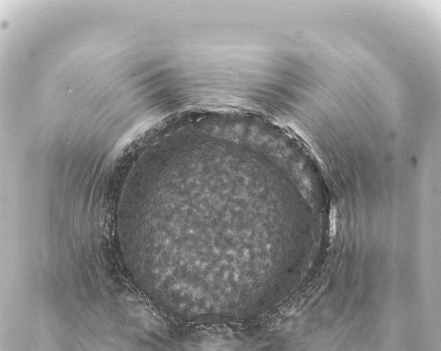 X0000088430919200705291521