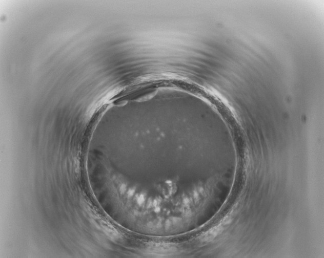 X0000088430921200705291521