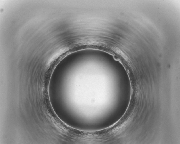 X0000088430922200705291521