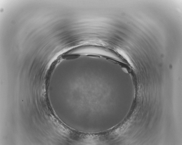 X0000088430923200705291521