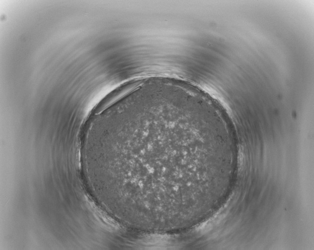 X0000088430925200705291521